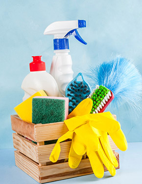 Professional housekeeping services